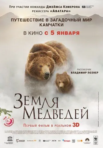 Постер к фильму Земля медведей (2013)
