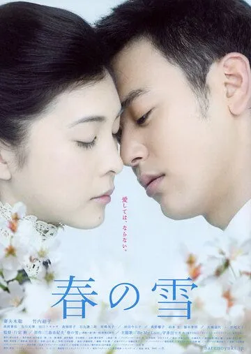 Постер к фильму Весенний снег (2005)