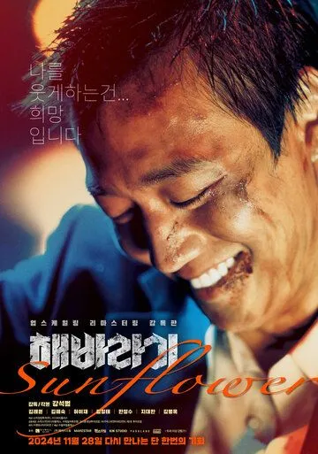 Постер к фильму Подсолнух (2006)