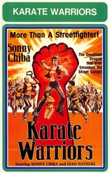 Постер к фильму Воины карате (1976)
