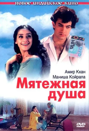 Постер к фильму Мятежная душа (1999)