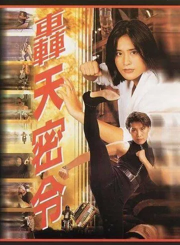 Постер к фильму Смертельная мишень (1994)