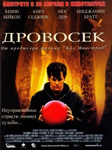 Постер к фильму Дровосек (2004)