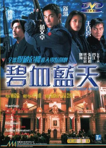 Постер к фильму Другая степень риска (1998)