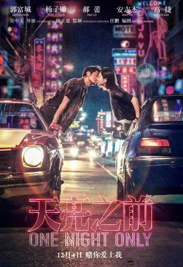 Постер к фильму Только одна ночь (2016)