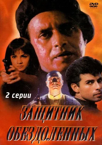 Постер к фильму Защитник обездоленных (1994)