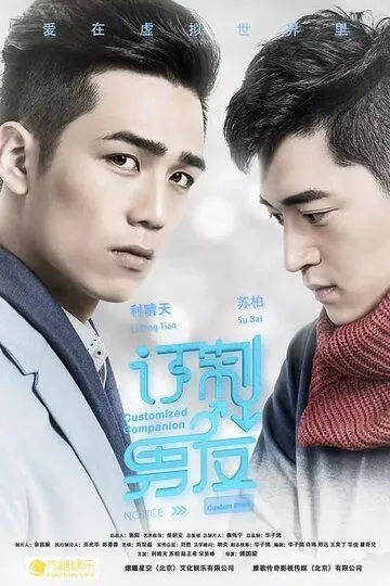 Постер к фильму Индивидуальный компаньон (2017)
