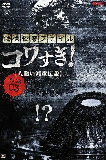 Постер к фильму Ужасающие материалы, файл 3: Легенда о каппе-людоеде (2013)