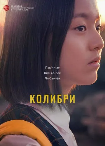 Постер к фильму Колибри (2018)