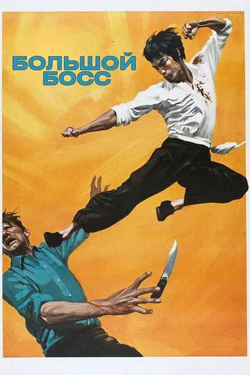 Постер к фильму Большой босс (1971)