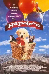Постер к фильму Наполеон (1995)