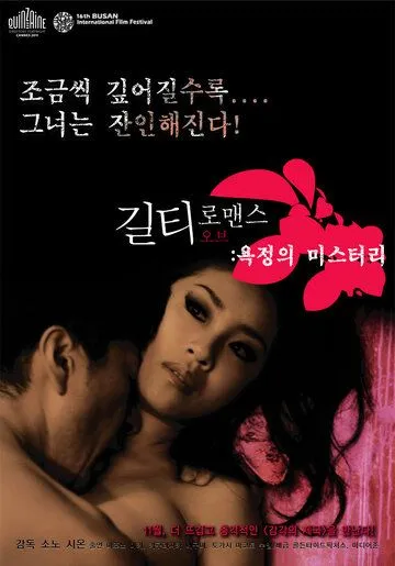 Постер к фильму Виновный в романе (2011)