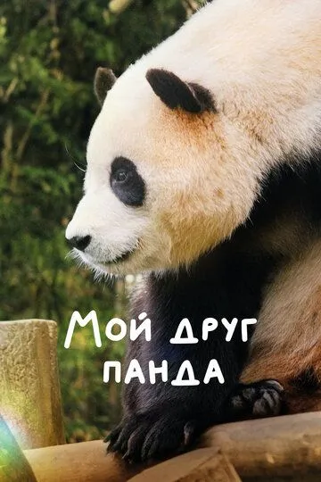 Постер к фильму Мой друг панда (2024)