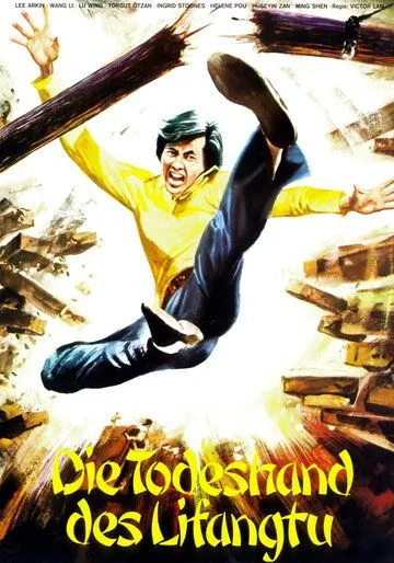Постер к фильму Каратисты в Стамбуле (1974)