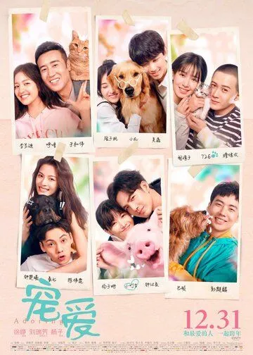 Постер к фильму Обожание (2019)