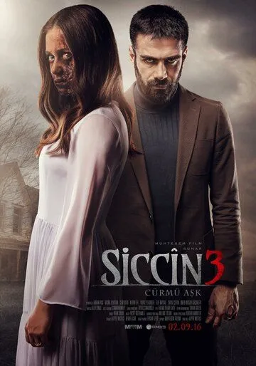 Постер к фильму Сиджин 3 (2016)