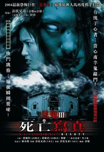Постер к фильму Анормальная красота (2004)