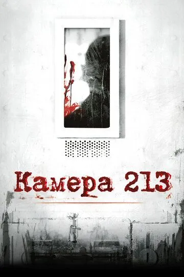 Постер к фильму Камера 213 (2011)