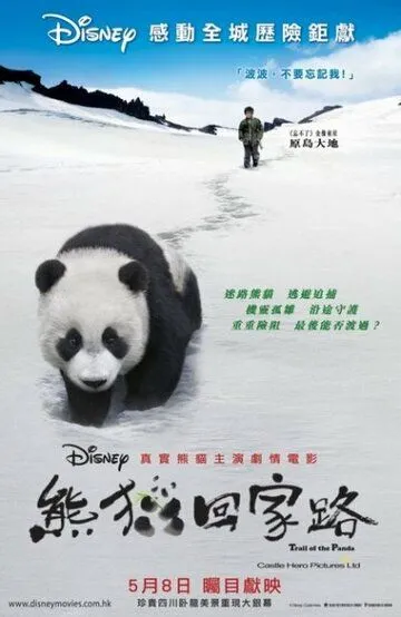 Постер к фильму След панды (2009)