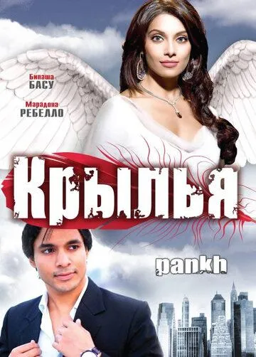 Постер к фильму Крылья (2010)