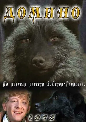 Постер к фильму Домино (1973)