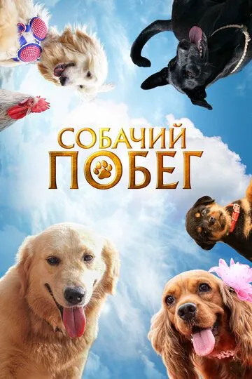 Постер к фильму Собачий побег (2023)