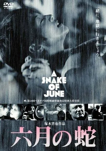 Постер к фильму Июньский змей (2002)