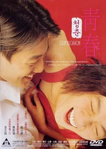 Постер к фильму Сливовый цвет (2000)