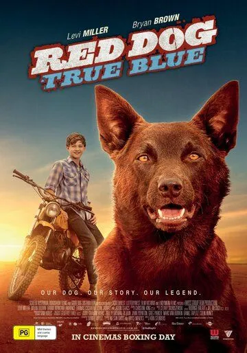 Постер к фильму Рыжий пес: Самый верный (2016)