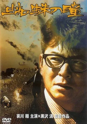 Постер к фильму Глаза паука (1998)