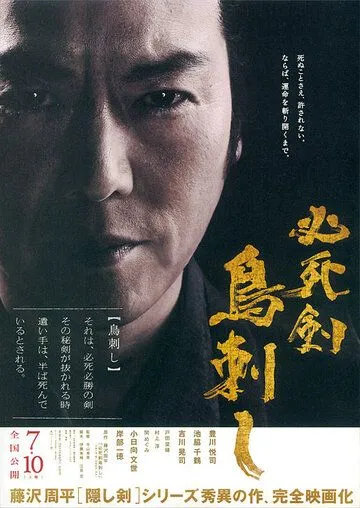 Постер к фильму Меч отчаяния (2010)