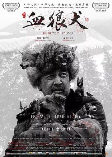 Постер к фильму Кровавая гончая (2016)