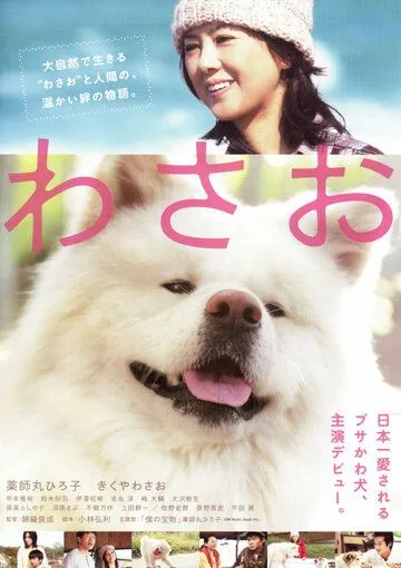 Постер к фильму Васао (2011)