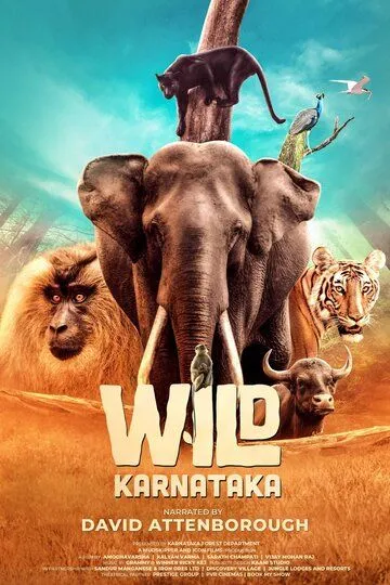 Постер к фильму Дикая Карнатака (2020)