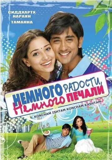 Постер к фильму Немного радости, немного печали (2009)