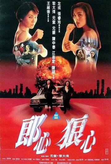 Постер к фильму Женщины в бегах (1993)