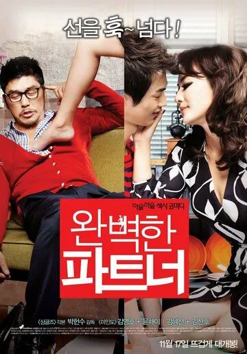Постер к фильму Идеальный партнёр (2011)