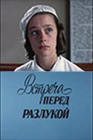Постер к фильму Встреча перед разлукой (1985)