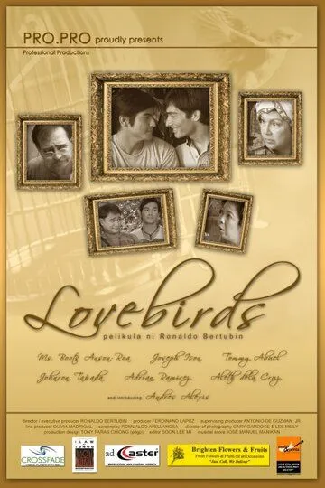 Постер к фильму Влюблённые пташки (2008)