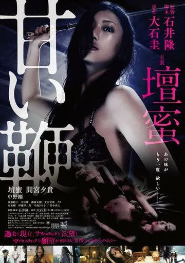 Постер к фильму Сладкий кнут (2013)