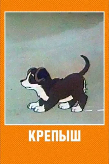 Постер к фильму Крепыш (1950)
