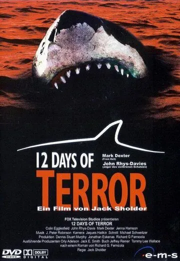 Постер к фильму 12 дней страха (2004)