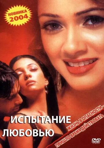 Постер к фильму Испытание любовью (2003)