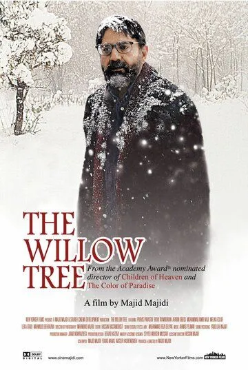 Постер к фильму Ивовое дерево (2005)