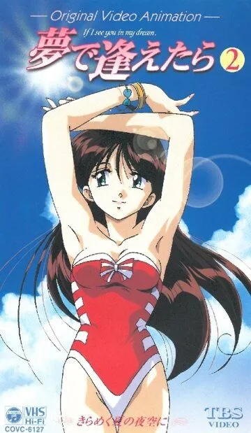 Постер к фильму Увидеть тебя в моих мечтах OVA (1998)