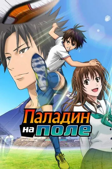 Постер к фильму Паладин на поле (2012)