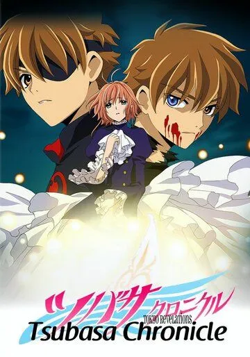 Постер к фильму Хроника крыльев (2007)