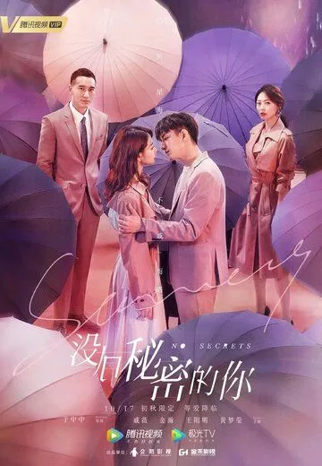 Постер к фильму Никаких секретов (2019)
