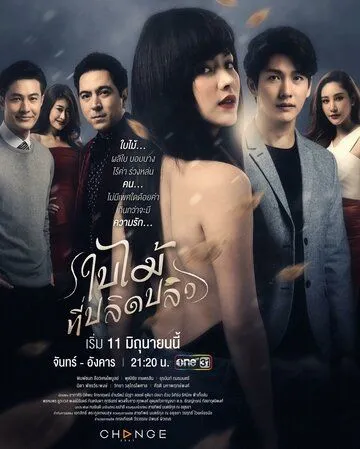 Смотреть онлайн Опавший лист (2019)