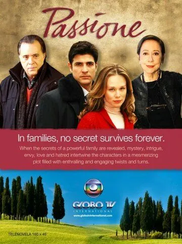 Постер к фильму Страсть (2010)